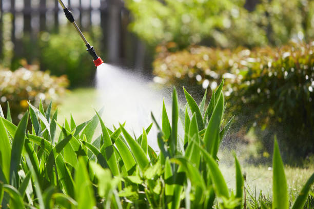 24/7 Emergency Ant Control experts in Warrior, AL